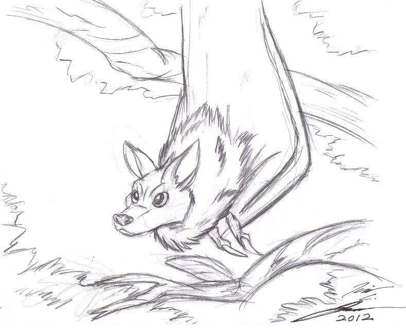 789x637 Bat Sketch By Slasher12 - Bat Sketch Drawing