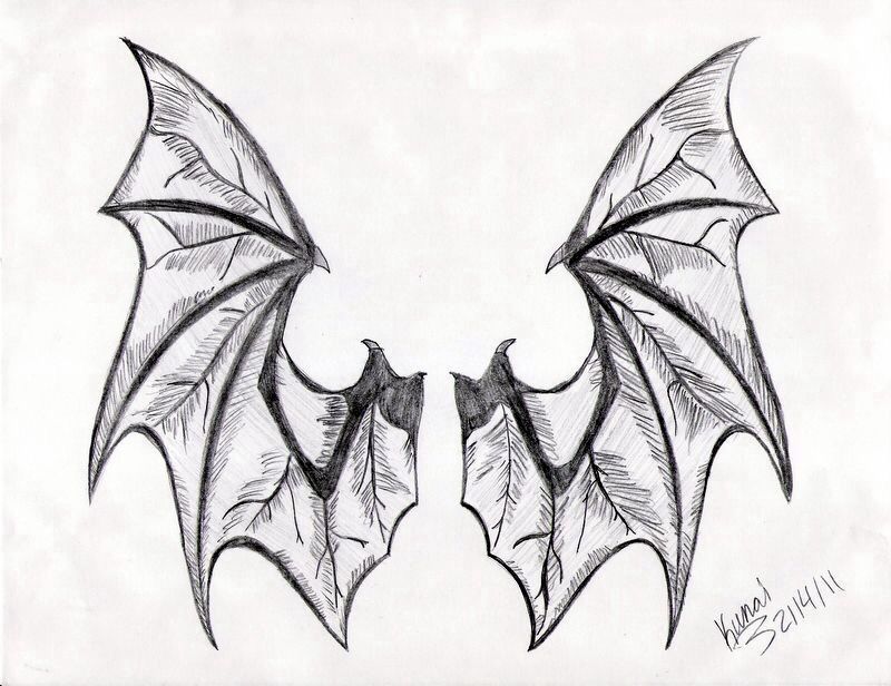 800x616 Bat Wings Drawing Serpents Tattoos, Tattoo Designs - Bat Wing Sketch