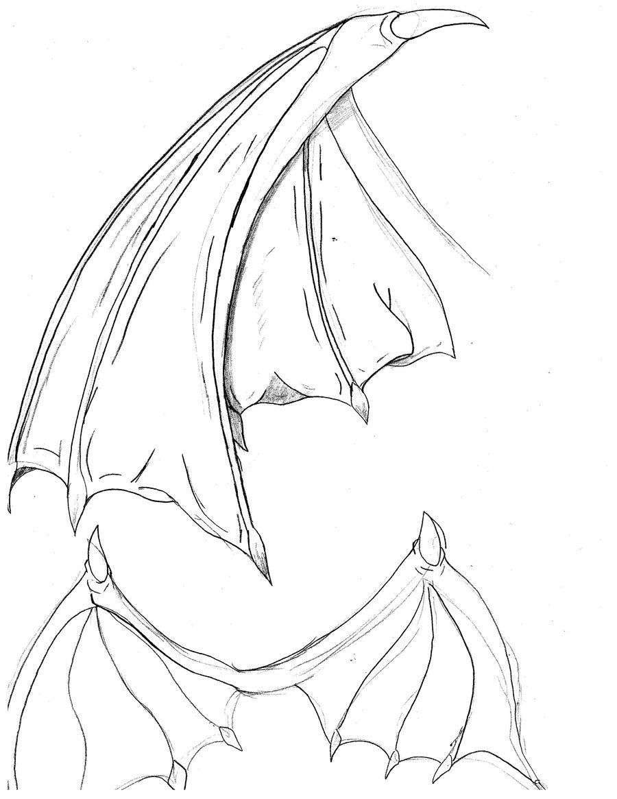900x1165 Bat Wings Drawing Bat Wings By Cybololz Draw(Dragons - Bat Wing Sketch