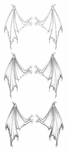 236x514 Bat Wings Drawing Bat Wing By Bakero Ichiban Art Illustraions - Bat Wing Sketch