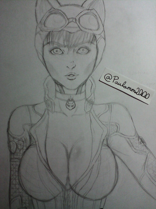 320x427 Sketch Of My New Drawing Fanart Of Catwoman From Batman I Hope - Batman And Catwoman Sketch