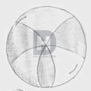 300x300 How To Draw A Beach Ball, Step By Step, Drawing Guide, By - Beach Ball Sketch