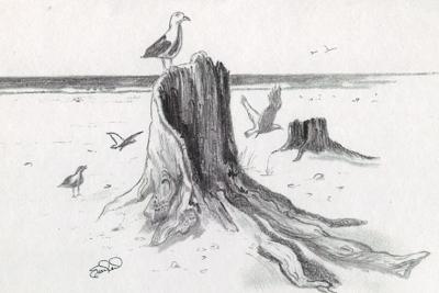 400x267 Drawn Sea Pencil Drawing - Beach Landscape Sketch