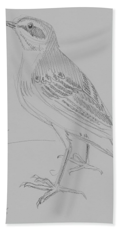 500x967 Yellow Wagtail Pencil Sketch Beach Towel For Sale By Mike Jory - Beach Pencil Sketch