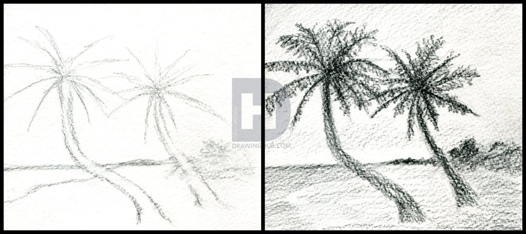 1080x482 How To Sketch A Beach, Draw A Realistic Beach, Step By Step - Beach Sketch