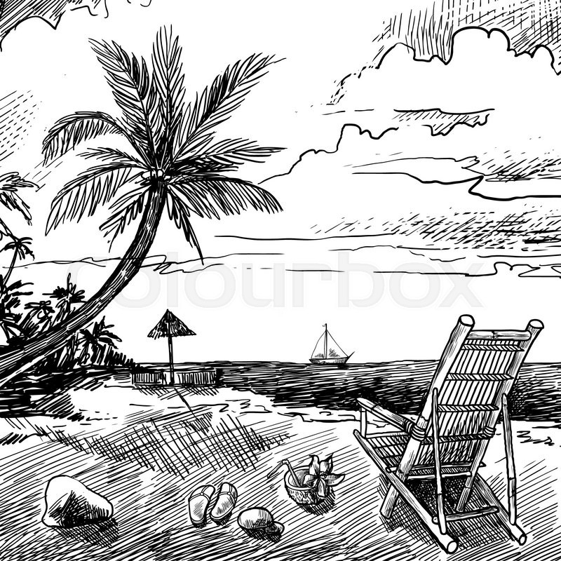 800x800 Summer Beach Sketch Background With Palm Chair Coconut And Yacht - Beach Sketch Images