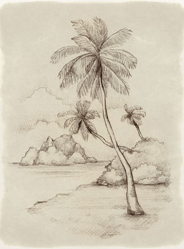592x800 Beach Sketch Beachcombing Magazine - Beach Sketch Images
