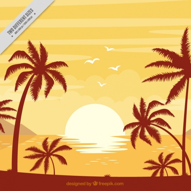 626x626 Sunset Vectors, Photos And Psd Files Free Download - Beach Sunset Sketch