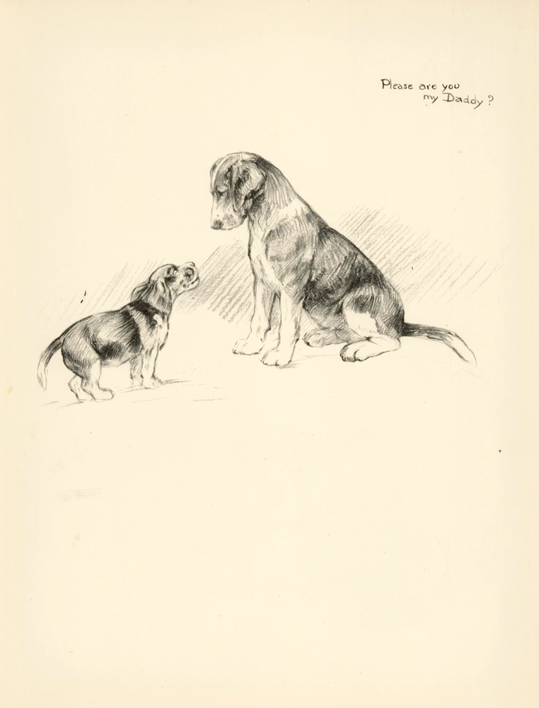 762x1000 Beagle And Puppy. Just Dogs Sketches In Pen Amp Pencil Kathleen - Beagle Dog Sketch