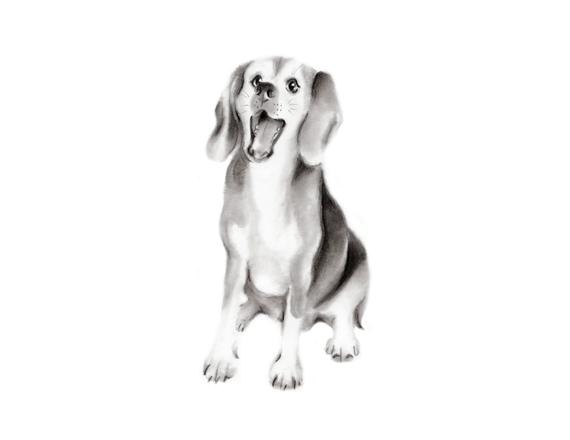 570x440 Dog Beagle Pet Sketch Pencil Animal Print Puppy Nursery Etsy - Beagle Dog Sketch