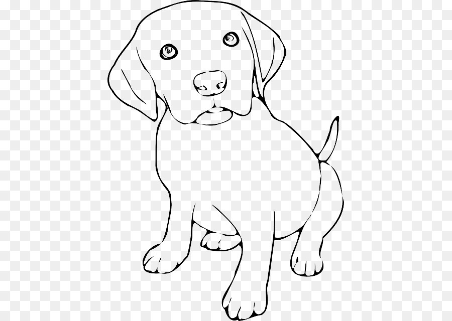 900x640 Labrador Retriever Puppy Beagle Border Collie Clip Art - Beagle Dog Sketch