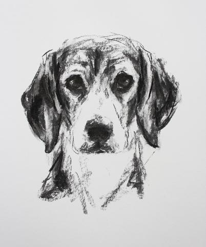 402x480 Paintmydog Dog Art Contemporary Dog Portraits - Beagle Dog Sketch