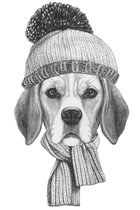 467x700 Portrait Of Beagle Dog With Scarf And Hat. Hand Drawn Illustration - Beagle Dog Sketch