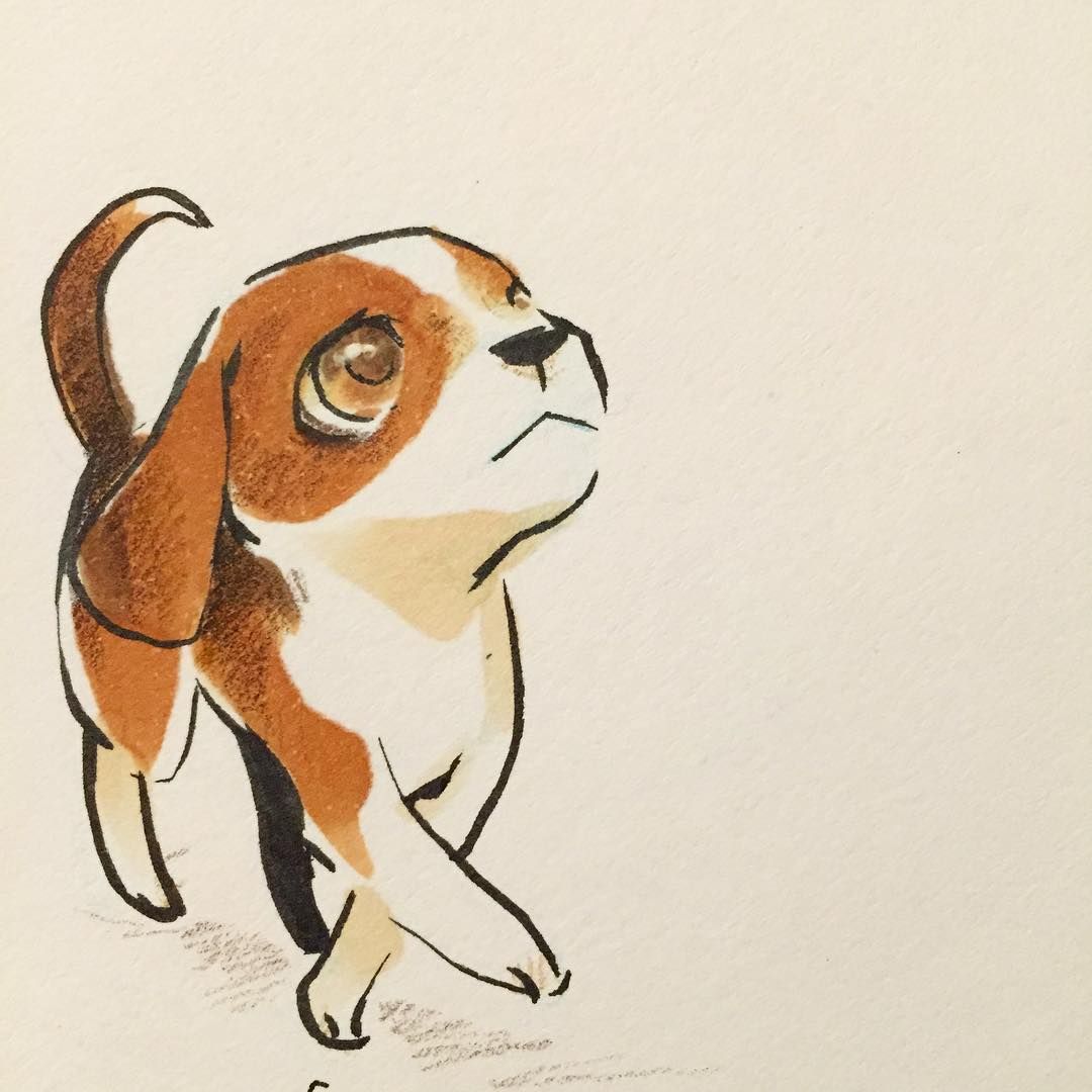 1080x1080 Dogs - Beagle Dog Sketch