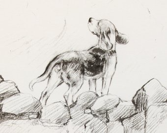 340x270 Beagle Sketch Etsy - Beagle Sketch