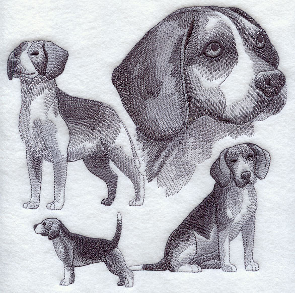 586x581 Machine Embroidery Designs - Beagle Sketch