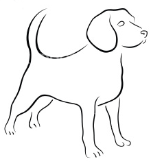 239x242 Beagle Sketch.png Basset And Beagle Rescue Of The Heartland - Beagle Sketch
