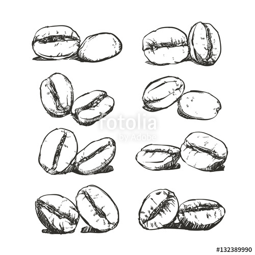 500x500 Coffee Bean Hand Drawn Vector Sketch, Coffee Clip Art Stock Image - Bean Sketch