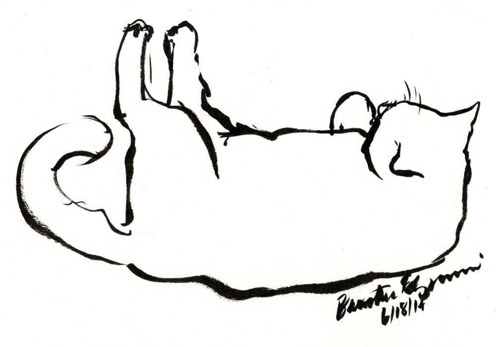 1000x700 Daily Sketch Reprise Bean From Above ~ The Creative Cat - Bean Sketch