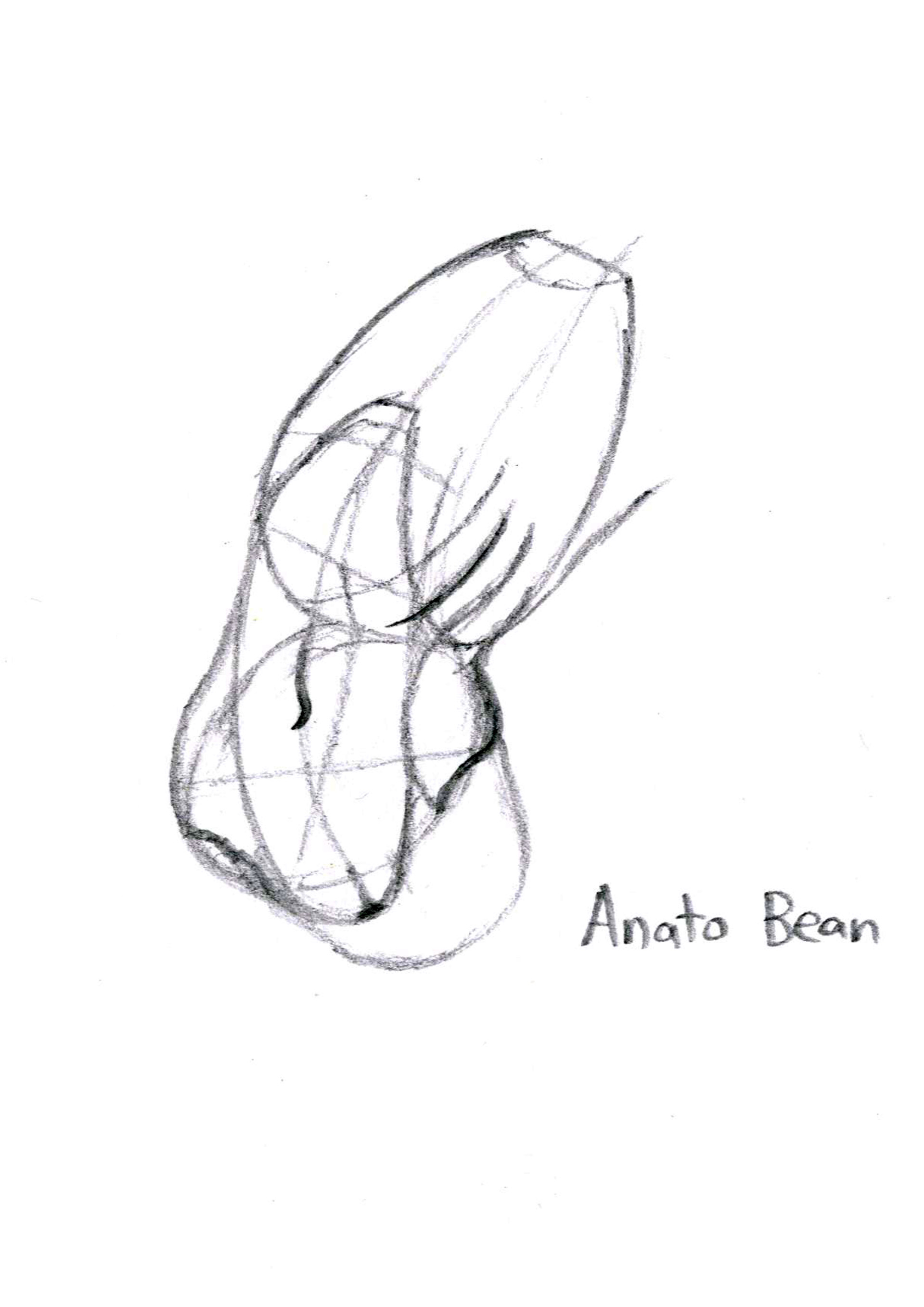 1920x2716 Jonathan Lee Jun Wee - Bean Sketch