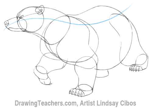 500x357 Cartoon Polar Bear - Bear Claw Sketch