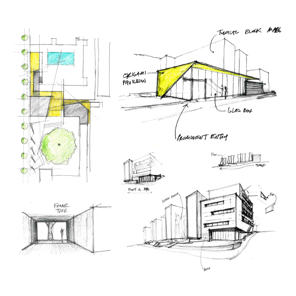 1000x1000 Gallery Of Arkansas Bear Claw Modus Studio - Bear Claw Sketch