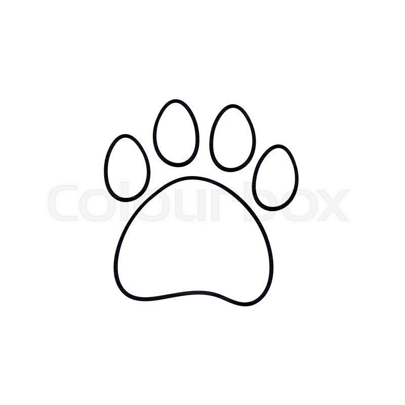 800x800 Paw Print Hand Drawn Outline Doodle Icon. Bear Paw Print Vector - Bear Claw Sketch