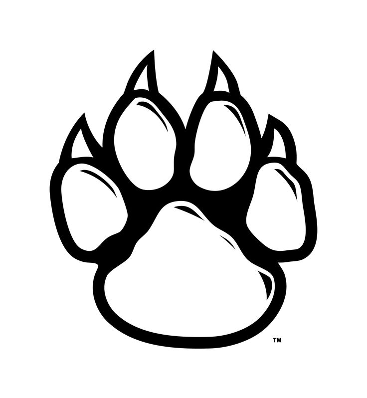736x798 Wildcat Clipart Bear Claw - Bear Claw Sketch