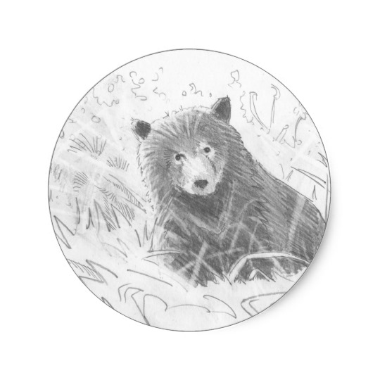 540x540 Grizzly Bear Cub Drawing Classic Round Sticker - Bear Cub Sketch