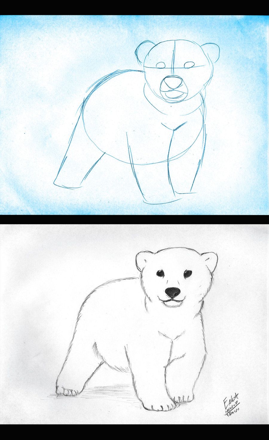 900x1473 How To Draw Polar Bear Cub By Hauru7 Dibujos - Bear Cub Sketch