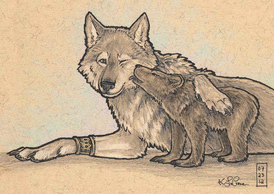 897x635 Werewolf And Bear Cub - Bear Cub Sketch