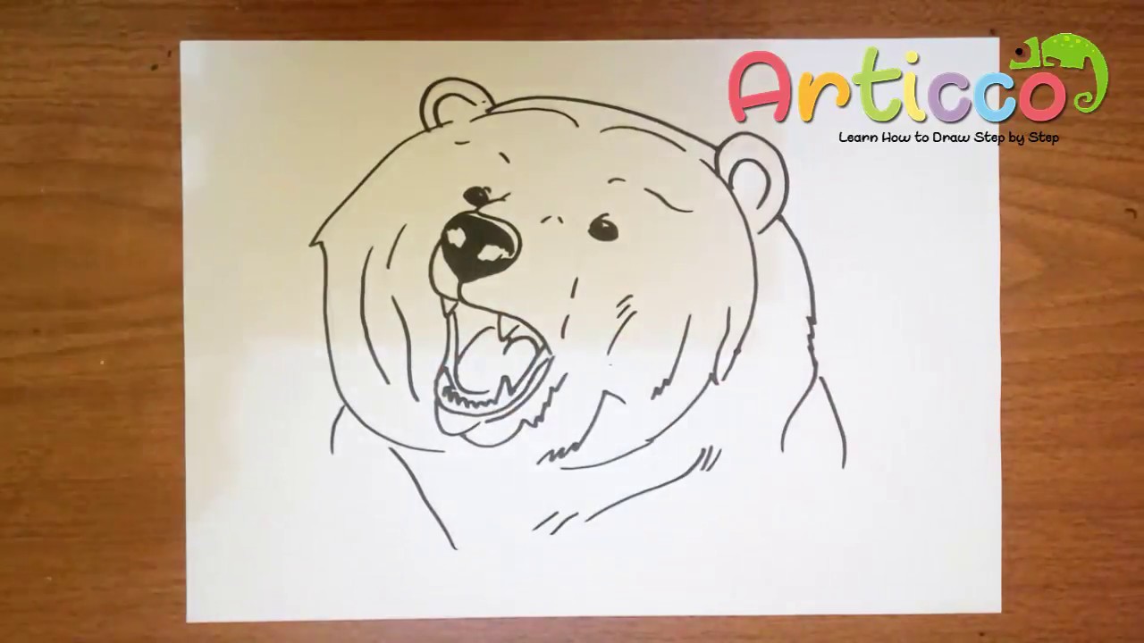 1280x720 How To Draw A Bear Face Step By Step For Kids - Bear Face Sketch