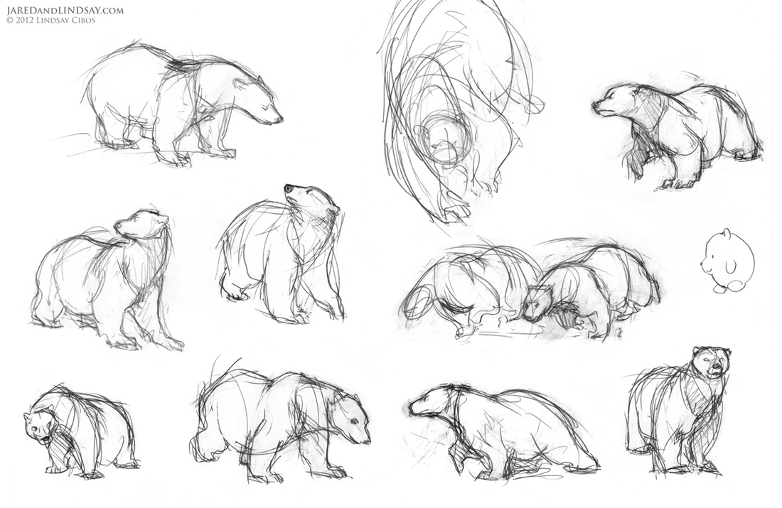 1100x715 How To Draw A Polar Bear Last Of The Polar Bears - Bear Face Sketch