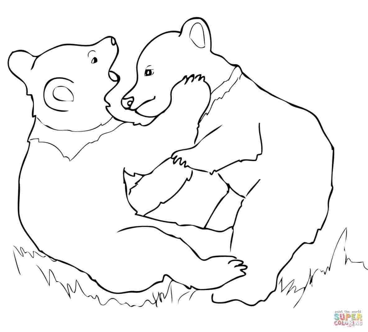 1185x1068 Unparalleled Sketch Picture Rhregisterforbettingcom Cute - Bear Face Sketch
