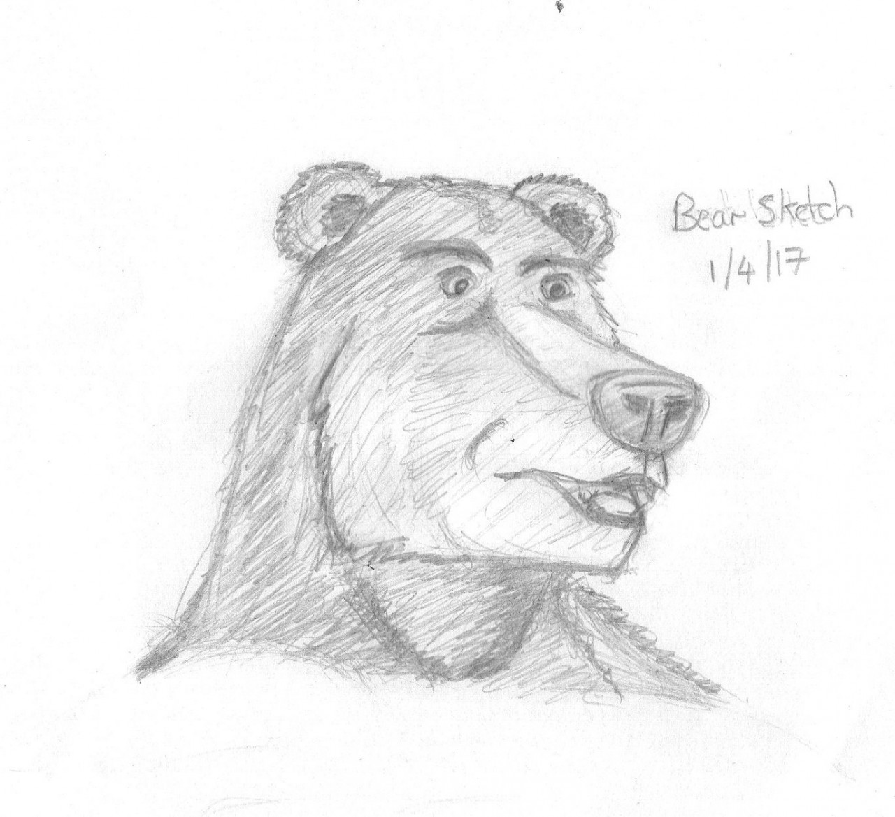 1280x1169 Bear Head Sketch By Kr0th - Bear Head Sketch
