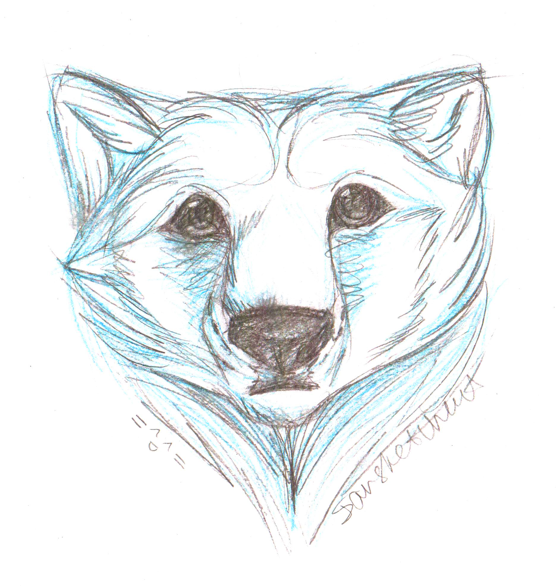 1866x1968 Drawn Polar Bear Head - Bear Head Sketch