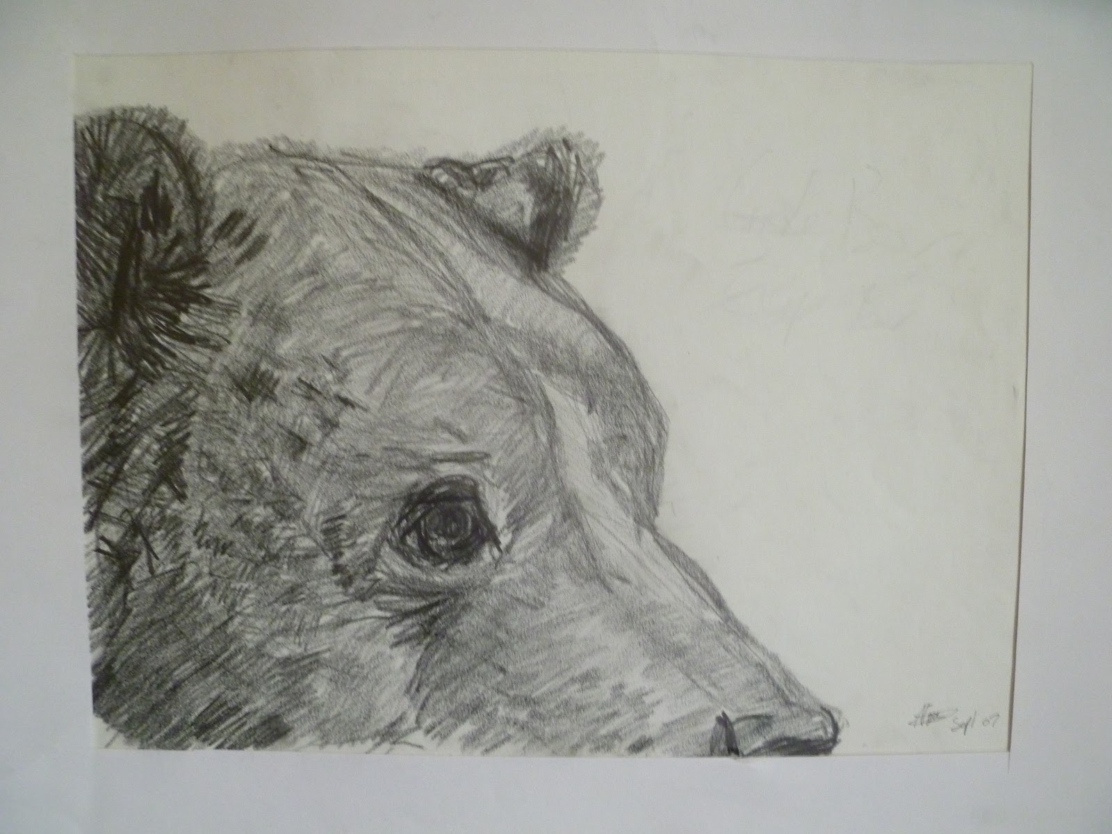 1600x1200 A Hare To Far Bear Head Sketch - Bear Head Sketch