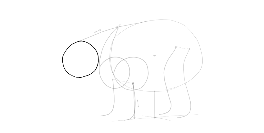 850x428 How To Draw A Bear - Bear Head Sketch