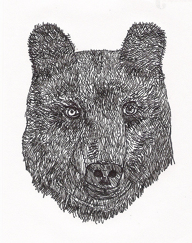 395x500 Bear Head Sketch. At Work Today I Was Making Contact - Bear Head Sketch