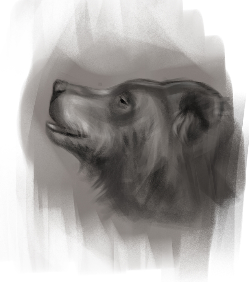 861x972 Bampw Bear Head Sketch Weasyl - Bear Head Sketch
