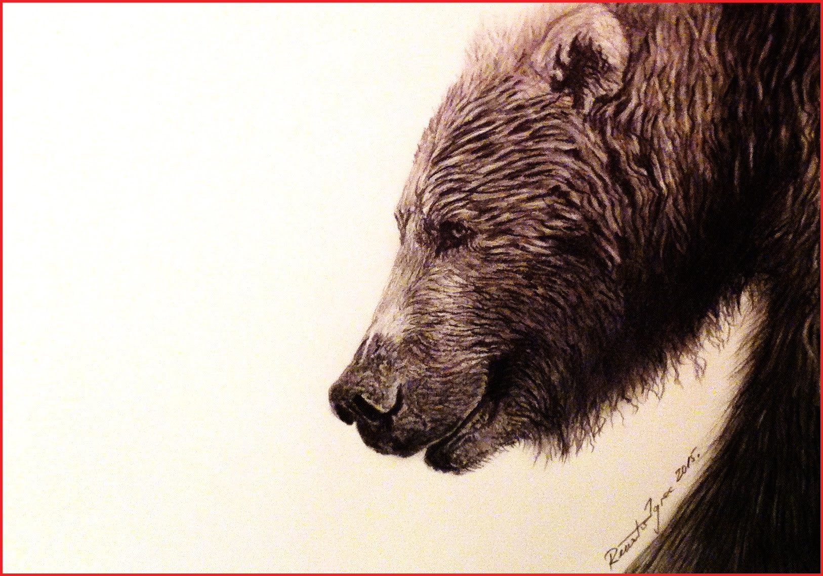 1626x1139 Bear Drawings 165683 Grizzly Bear Head Drawings - Bear Head Sketch