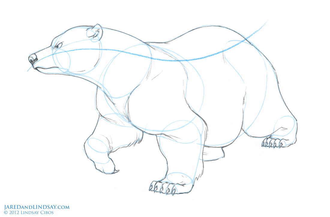 1100x724 Drawn Bear Bear Paw - Bear Paw Sketch