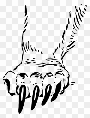 300x394 Bear Claw Clip Art - Bear Paw Sketch