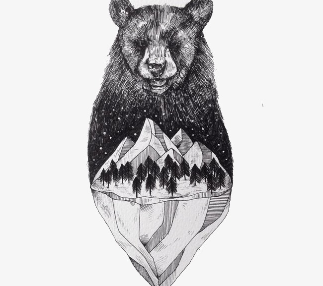 650x577 Creative Pencil Sketches Bear, Design, Art, Abstract Png Image And - Bear Pencil Sketch