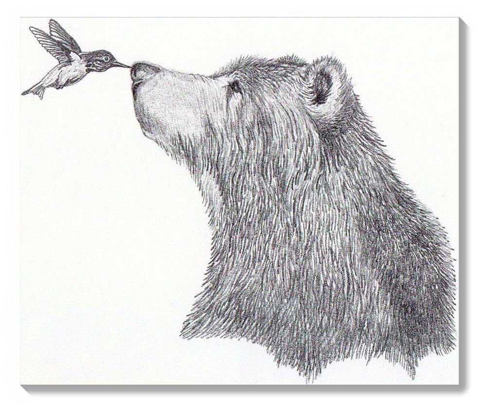  Bear Pencil Sketch at PaintingValley.com Explore collection of Bear 