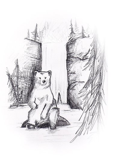 389x550 Bear Pencil Sketch Posters By 3rdstgraphics Redbubble - Bear Pencil Sketch