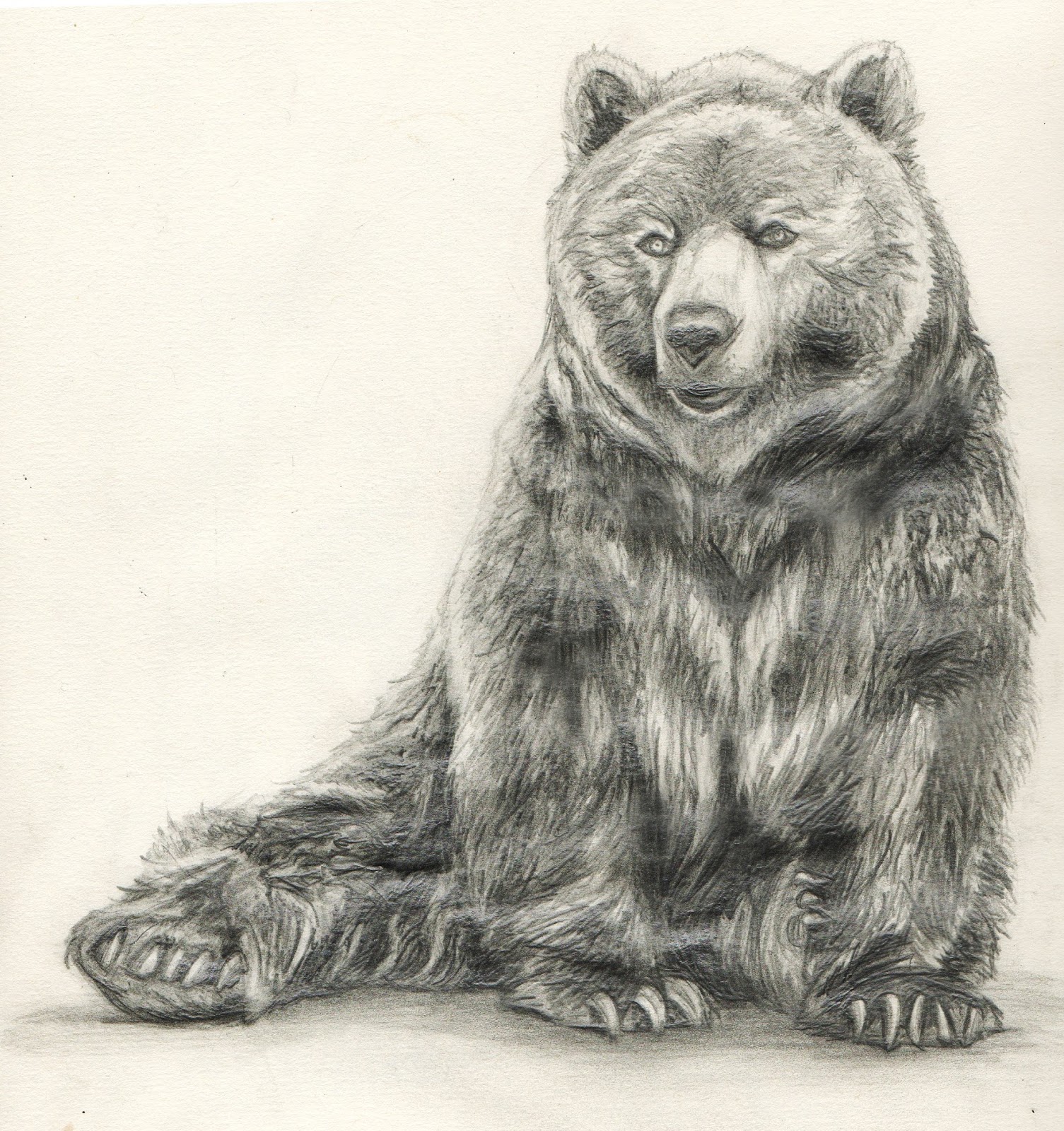 1505x1600 Sammy Jo Tawn Stop Motion Bear Sketch - Bear Sketch