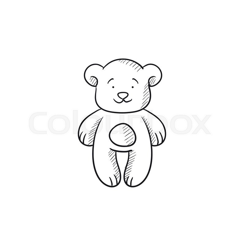 800x800 Teddy Bear Vector Sketch Icon Isolated On Background. Hand Drawn - Bear Sketch