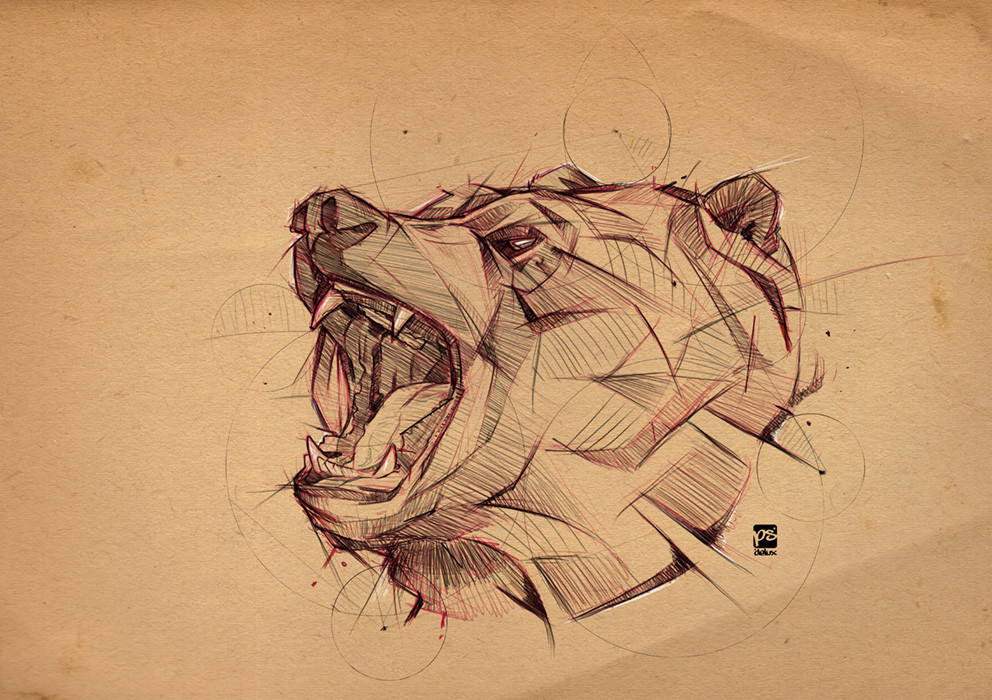 992x700 Artstation - Bear Sketch