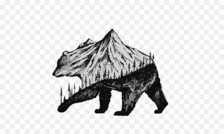 900x540 Drawing Illustrator Art Printing Illustration - Bear Sketch Art